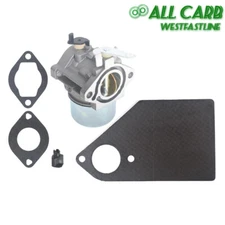 Fit For 499029 497164 497844 690115 690111 690117 Carb Carburetor New