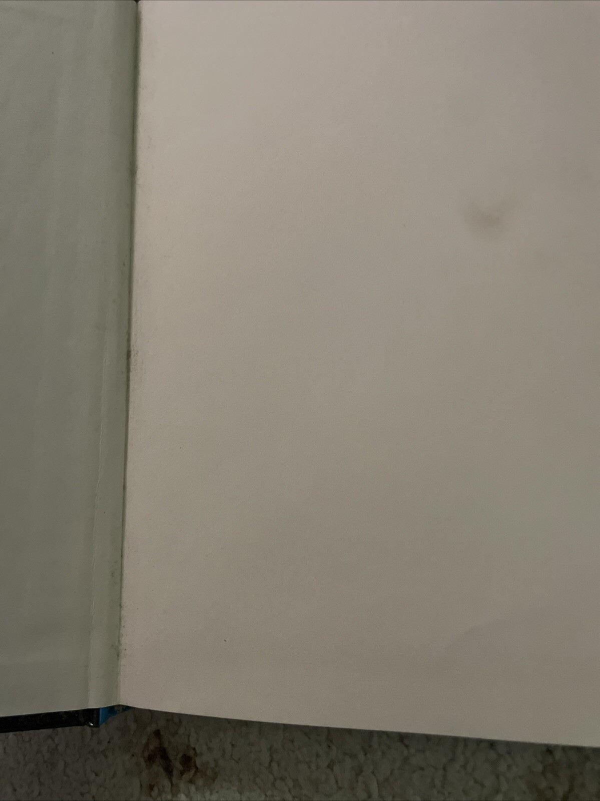 Bild 7 von 14