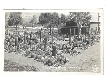 1949 Vtg RPPC Young's Cactus Garden near Indio California Frasher Photo Postcard