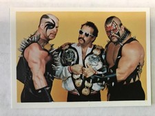 1988 NWA WONDERAMA Road Warriors & Paul Ellering #341 Legion of Doom