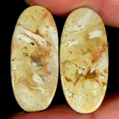 25.00Cts.100% Natural Palm Root Agate Oval Cab 13x28x4mm Royal Pair Top Gemstone