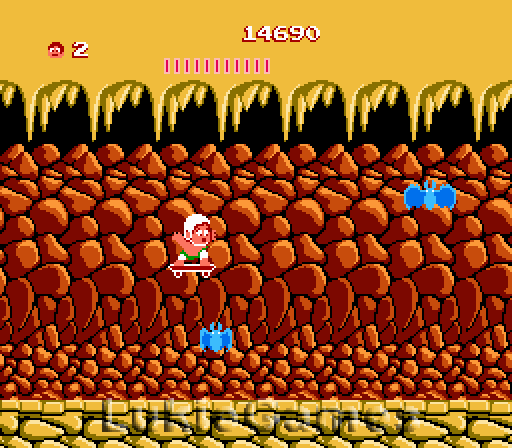 Imagen 8 de 8