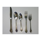 Oneida SUMMER MIST Wm A Rogers AUTUMN GLOW Deluxe Stainless 1 Setting 5 Piece