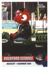 2002-03 Rockford IceHogs (UHL) Hammer Hog (mascot)
