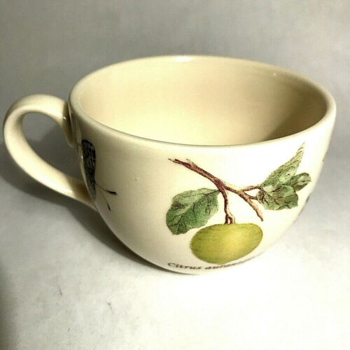 Wedgwood China Sarah's Garden Queen's Ware Juego de tazas de té de café Citrus Celastrina - Imagen 3 de 8