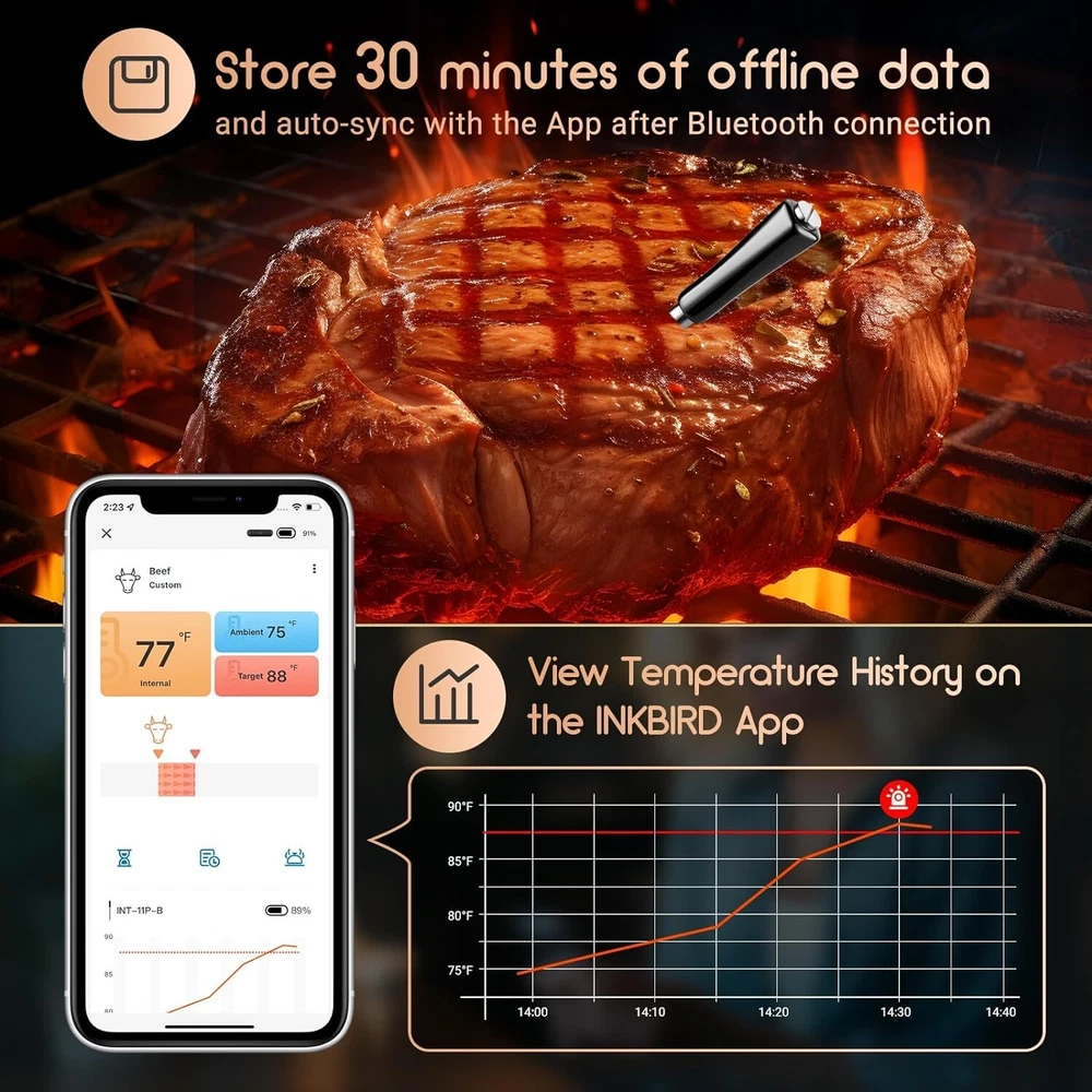 Wireless Meat Thermometer Bluetooth Waterproof Smart Meat Probe for BBQ Grill