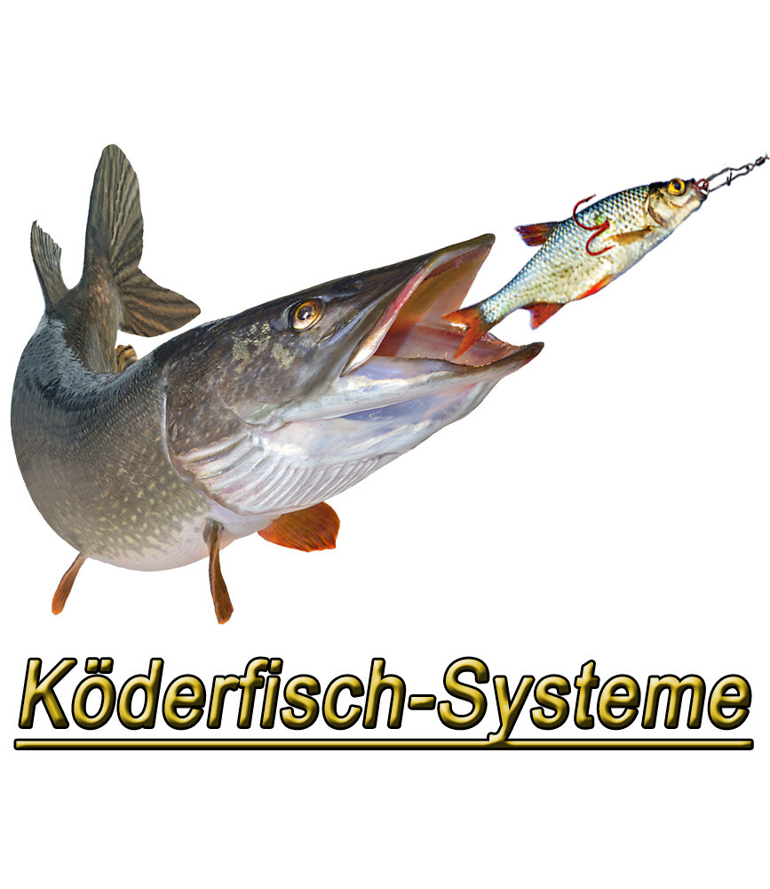 Bild 162 von 260