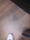 Bild 7 von 8
