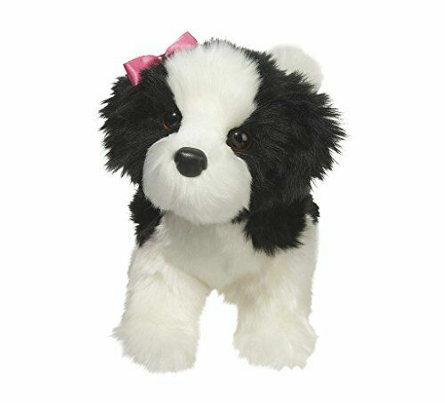 buy shih tzu online