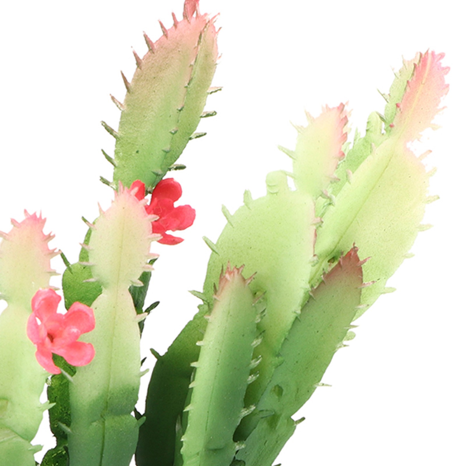 Simulation Plastic Cactus Plant Terrarium Reptiles Habitats Decor Home Decor.