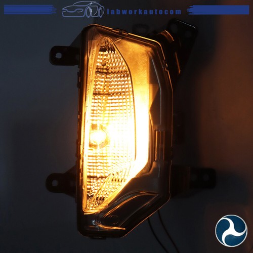 For 2022-2023 Chevrolet Equinox Turn Signal Light Right Side Halogen Clear Lamp - Picture 6 of 13