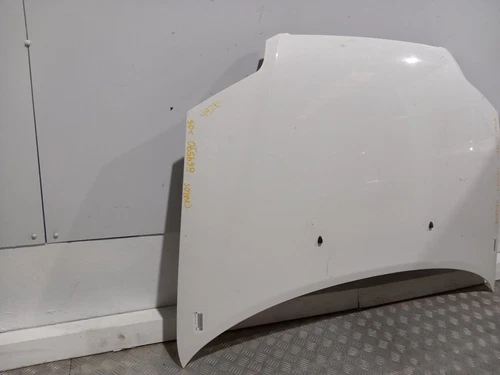 Capo para CHEVROLET KALOS 1.2 S (D/A) 2005 869590 - Imagen 3 de 24