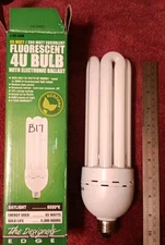 Designers Edge 4U Instant On Daylight Medium Base Bulb