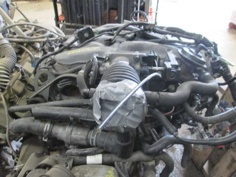 Motor 2,5 L VIN L octavo dígito DOHC excluyendo SVT compatible con 99-00 CONTORNO 508488 Foto 3 de 4