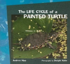 The Life Cycle of a Painted Turtle by Hipp, Andrew