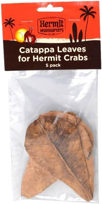 Fluker'S Catappa Leaves for Hermit Crabs, 5 per Pack