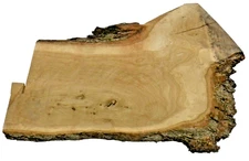 Walnut SLAB Milled And Kiln Dried Tree Craft Live Edge Slab AMAZING Wood Grain!