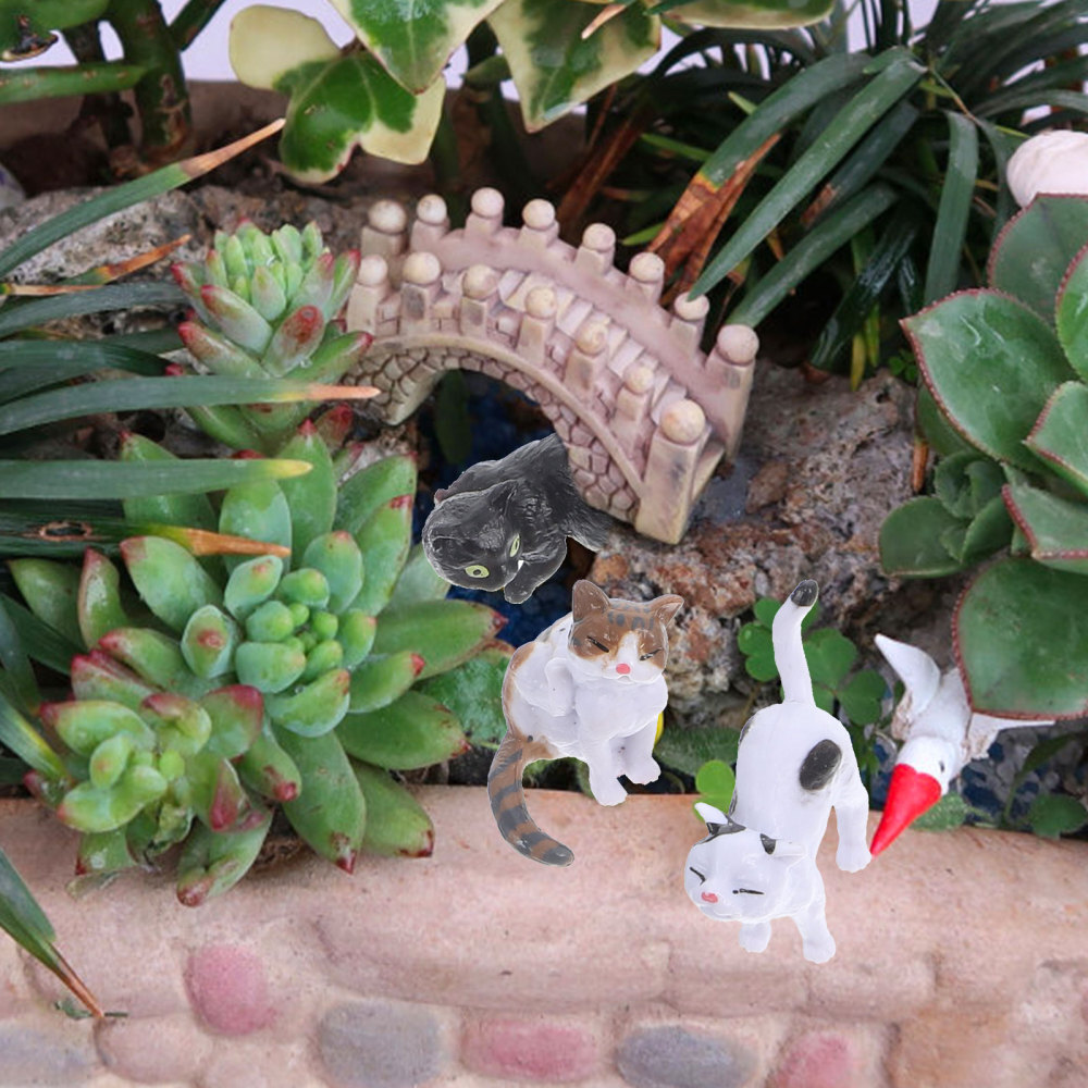 Foto 4 di 12
