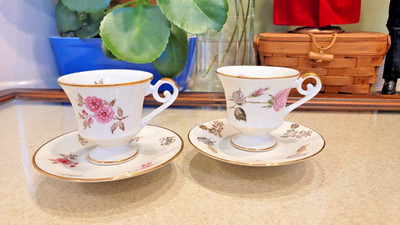 (2) Vintage ALKA Bavaria Tea/Coffee Floral Cup Demitasse 1580 & 1609