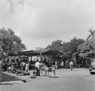 Local Women Get Ready For The Farmers Market 1946 Charlotte Amalie OLD PHOTO