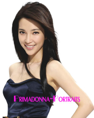 LI BINGBING 8X10 Lab Photo 2010s Sexy Chinese HIGH FASHION Actress