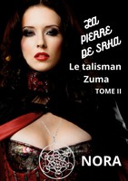 La Pierre De Srha | Tome II | Nora Nash | Taschenbuch | FranzöSisch | 2023