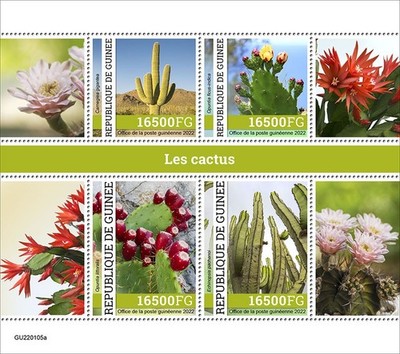 Cactus