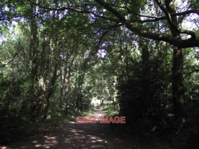 PHOTO  PERMISSIVE BRIDLEWAY THROUGH MARTIN'S WOOD THE DISTANT GATE EXITS BEACON