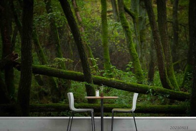 3D Woods Plants Landscape Nature Wallpaper Wall Murals Removable Wallpaper