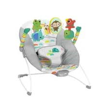 Bright Starts Playful Paradise Vibrating Baby Bouncer, Unisex, Newborn +