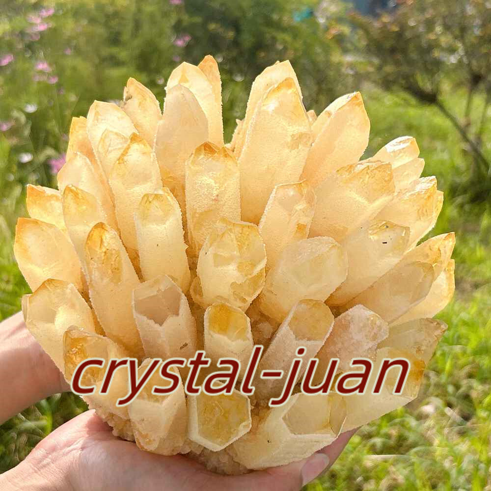 12LB Citrine Quartz Crystal Cluster Mineral Specimen for Reiki Healing and Energy Work