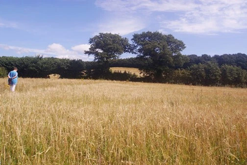 UV/IR-Cut Filter - (ABSORPTION TYPE - THE VERY BEST) - Sizes: 40.5mm to 95mm - Image 4 of 4