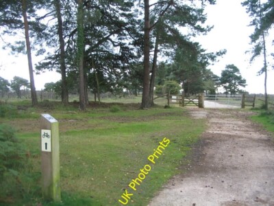 Foto 6x4 Die Ausfahrt von Hawkhill Inclosure Furzey Lodge Die Spurausgänge H c2015