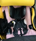 Custom Babydoll Doona Inspired Stroller/Car seat- Pink Reborn Doll w/accessories