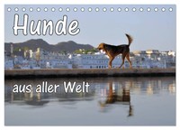 Naomi Lau | Winter Melon Story | Buch | Englisch (2015) | Gebunden | Naomi Lau