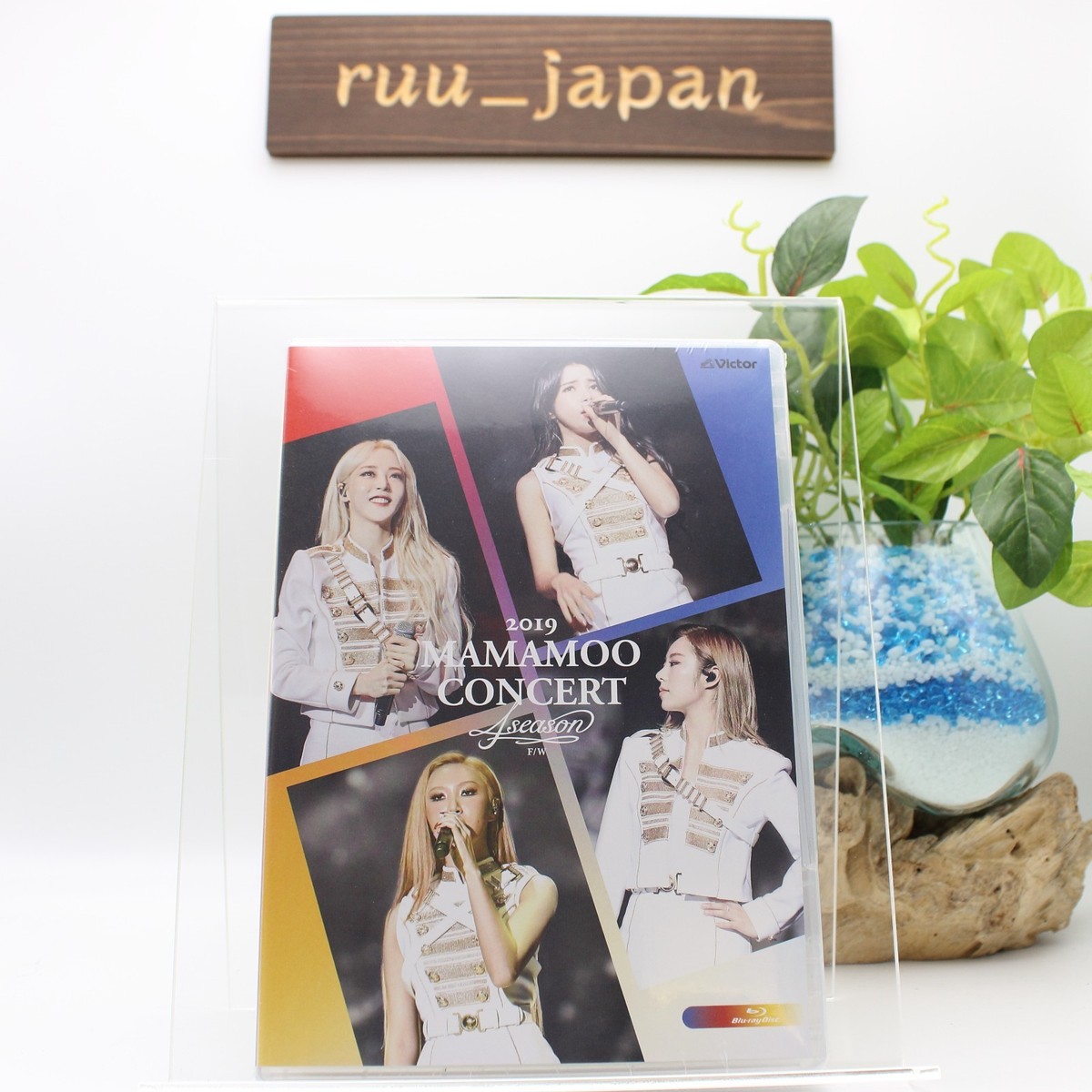 MAMAMOO CONCERT 4season F/W 2019 DVD 2019 MAMAMOO CONCERT 4season