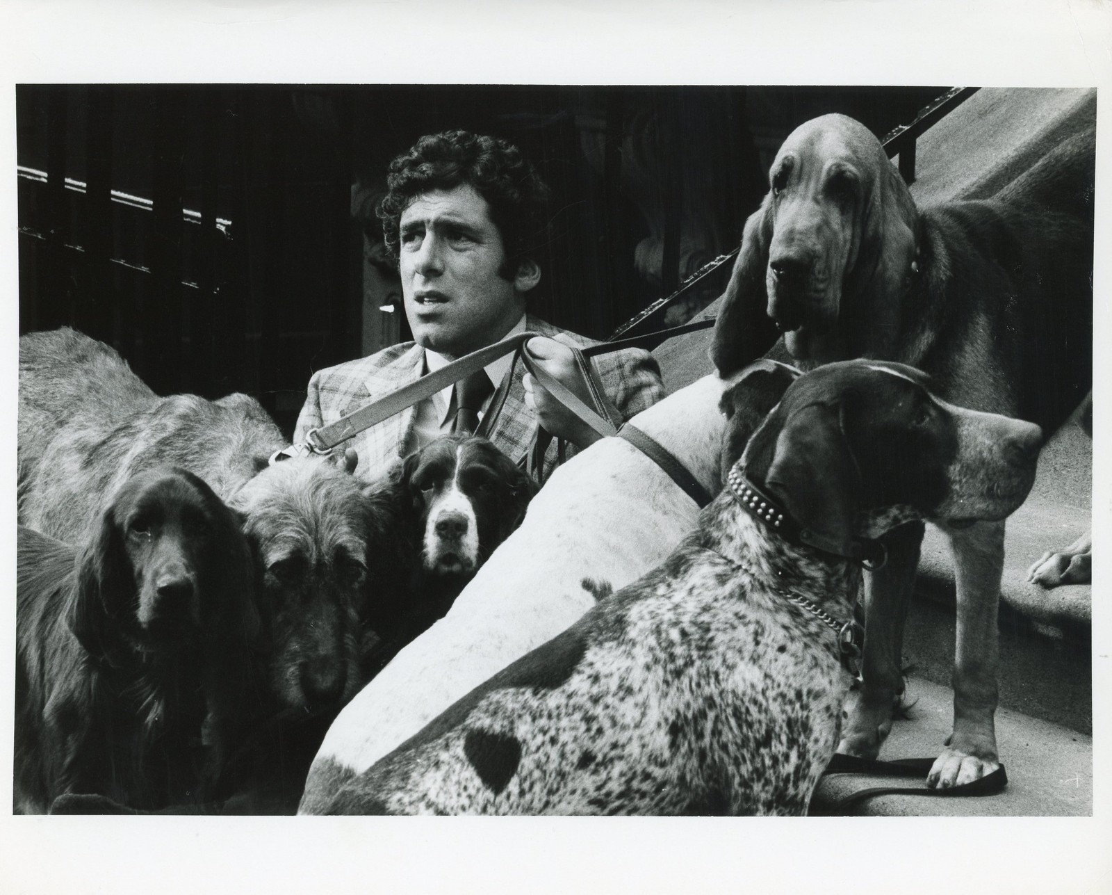 Move Movie ELLIOTT GOULD MOVE 1970 VINTAGE PHOTO ORIGINAL N°2 | eBay