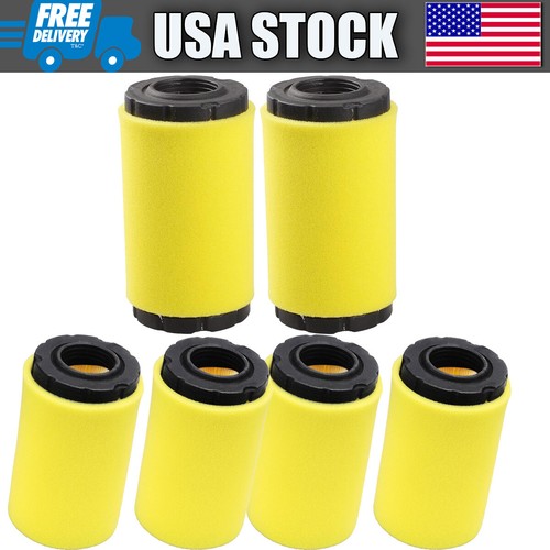 Briggs & Stratton Pré-nettoyant Authentique 793685