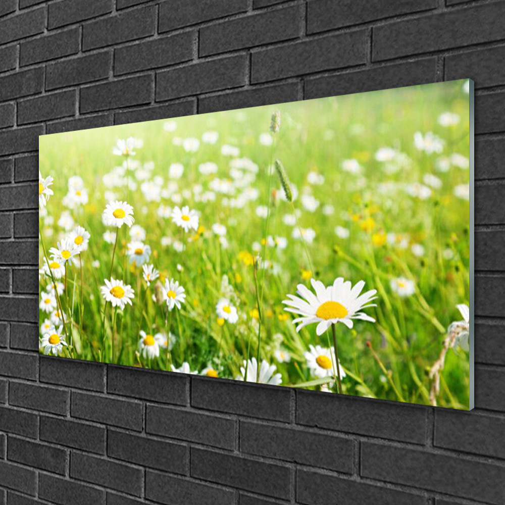 Image sur verre 100x50 cm prairie marguerite Tulup pour illuminer les murs sombres