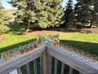 Vintage Anchor Hocking Orange Juice Carafe & Pitcher with Set of 17 Pieces