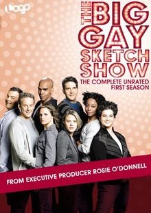 Big Gay Sketch Show: Complete First Season (2pc) [DV... | DVD | Zustand sehr gut
