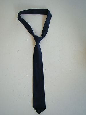 USAF AIR FORCE ALL RANKS RATES E/M NCO OFFICER BLUE NECKTIE SERVICE & DRESS  TFXL | eBay