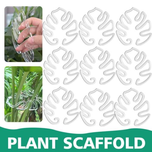 9pcs Plant Stem Support Plant Vine Support Holder for Monstera Strelitziaceae