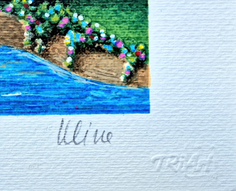 Ulisse - Serigrafia originale P.A. firmata - Immagine 2 di 3