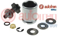 Autofren Seinsa D025543K1 Kolben FüR Bremssattel Kolben Bremssattel FüR Audi