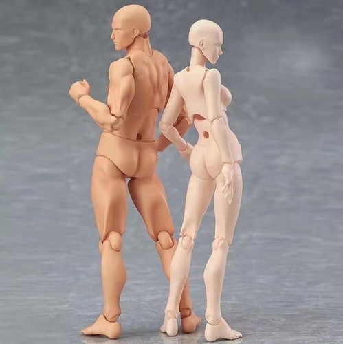 Figma She/he S.H.Iguarts SHF Body kun DX SET PVC Body chan DX Doll toys move - Picture 8 of 46