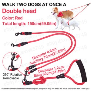 no leash dog training