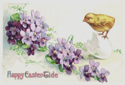 Vintage Victorian Postcard 1910 Happy Easter Tide - Spring Violets
