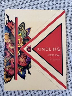 James Jean - 12 Removable Prints - KINDLING