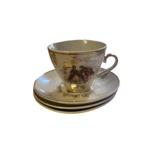 Sonesta Saucer And Tea Cup with 2 extra Saucers